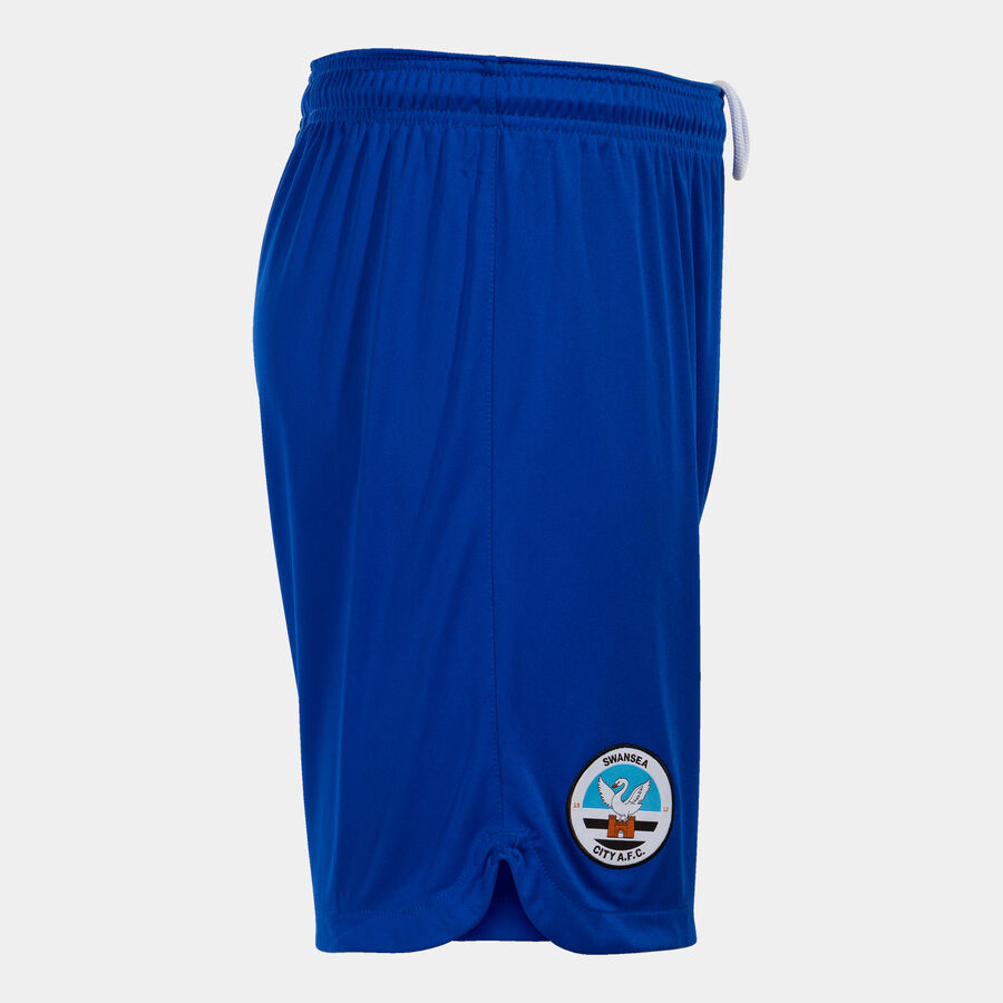 SHORT SWANSEA