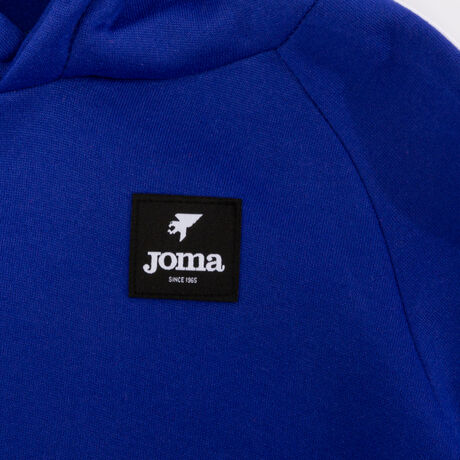 SUDADERA CON CAPUCHA STRIPE