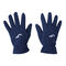 Guanti Polar blu navy
