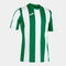 Camiseta manga corta hombre Inter verde blanco