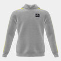 Sudadera con capucha junior Stripe gris melange lima