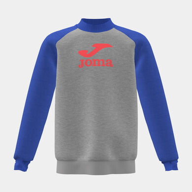 Sweat-shirt garçon Lion gris melange bleu