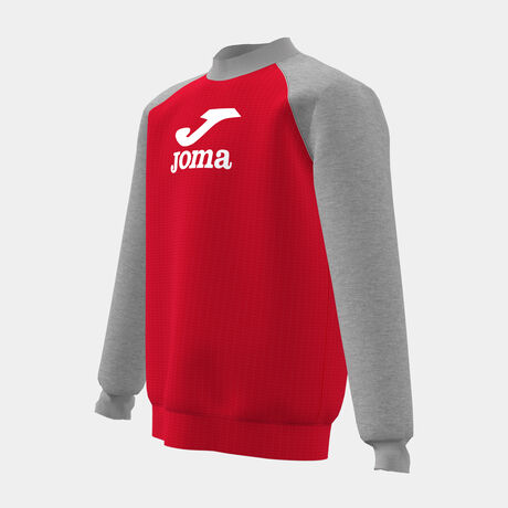 SUDADERA LION