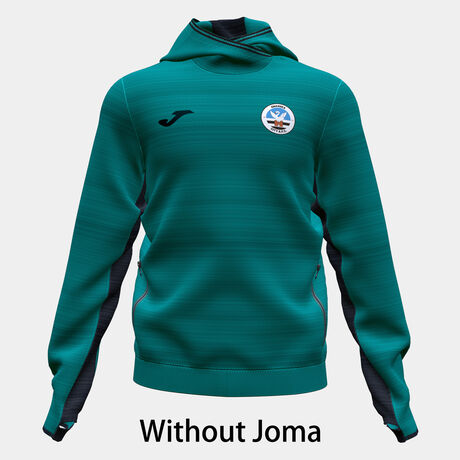 SUDADERA CON CAPUCHA SWANSEA