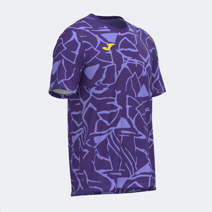 CAMISETA MANGA CORTA PRO TEAM
