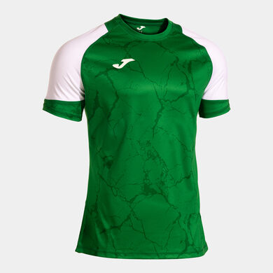 Camiseta manga corta hombre Performance Handball verde blanco