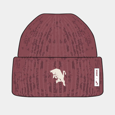 Gorro de invierno entrenamiento Torino Fc 26/27