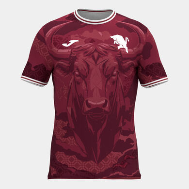 Maillot manches courtes &eacute;chauffement Torino 26/27