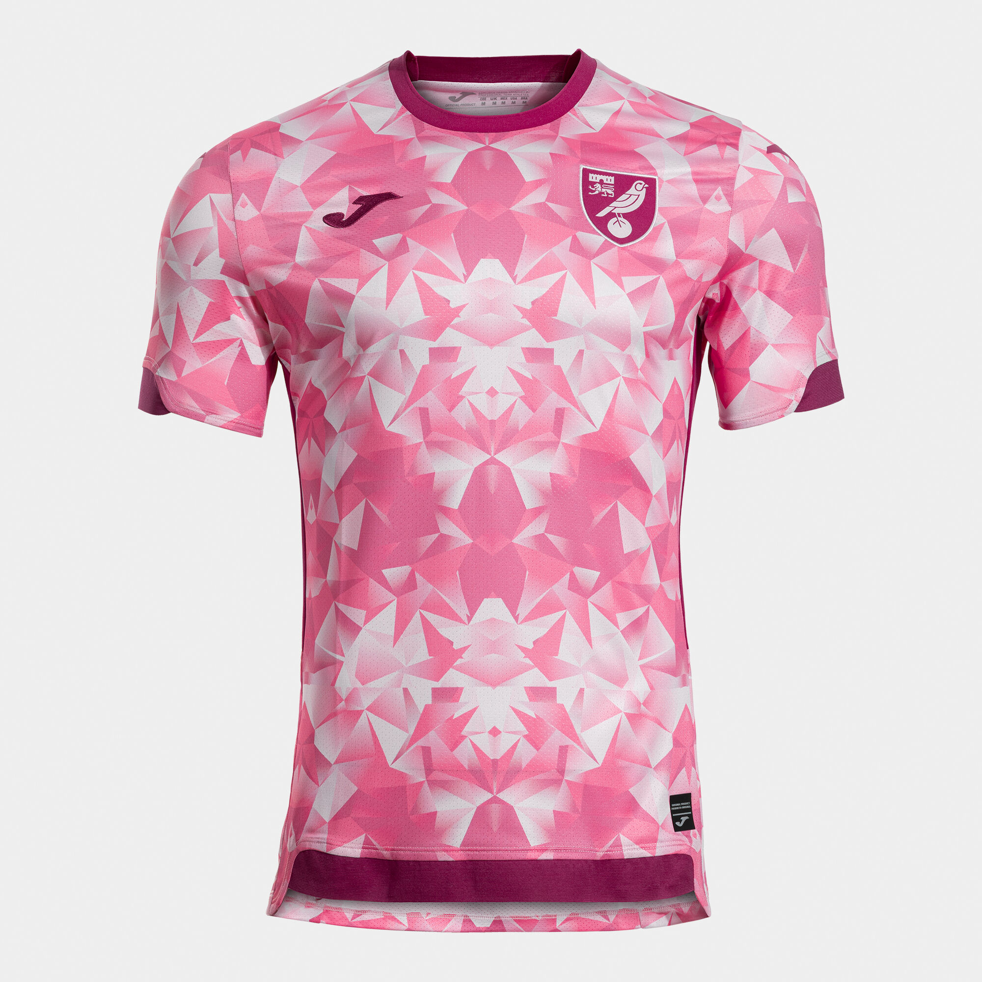 Shirt short sleeve 3rd kit Norwich City 25/26 | JOMA®