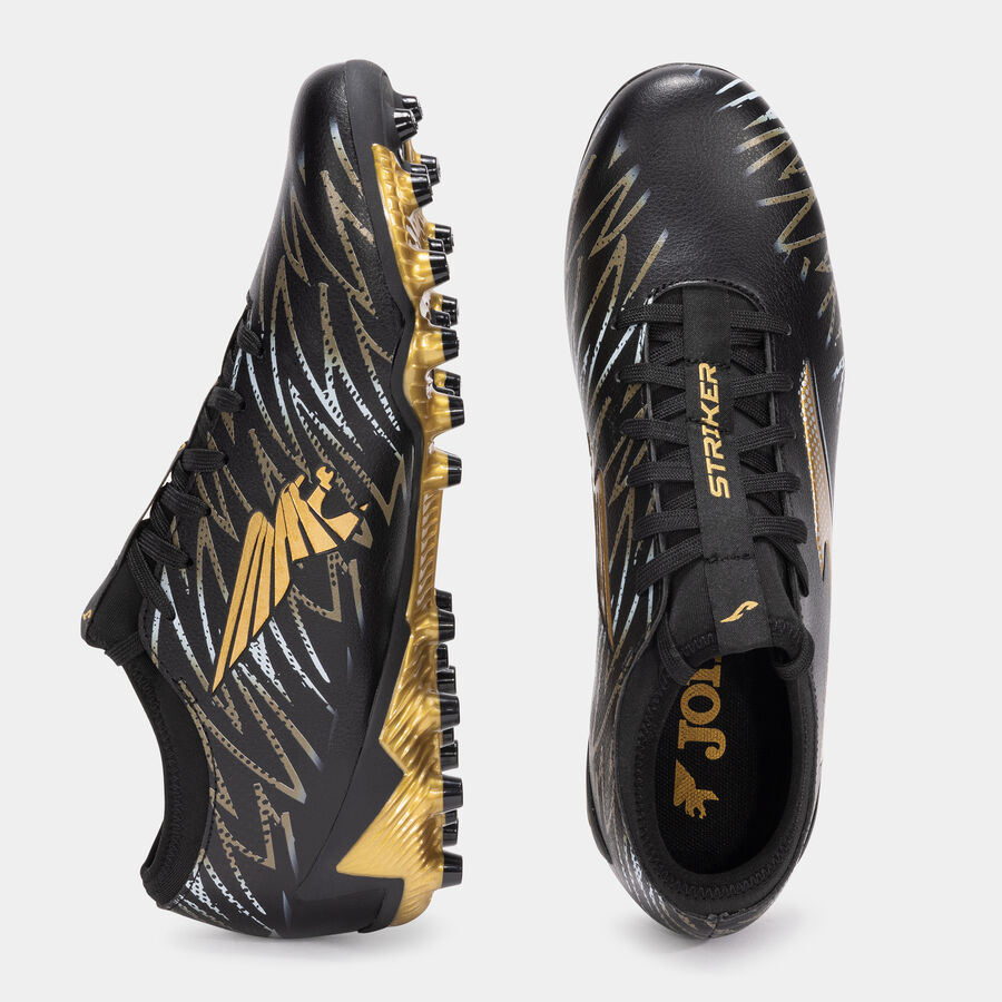STRIKER 25