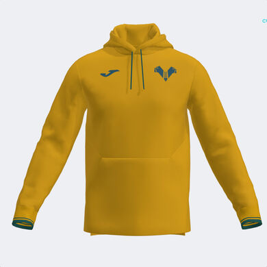 Hooded sweater leisure Hellas Verona FC 25/26