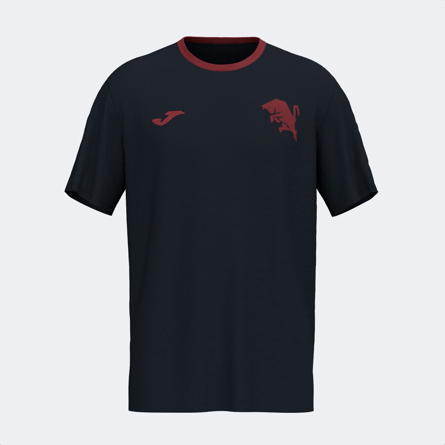 CAMISETA MANGA CORTA PASEO TORINO