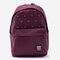 Backpack - shoe bag Active World burgundy