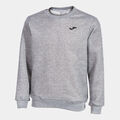 Sudadera junior Lion gris melange