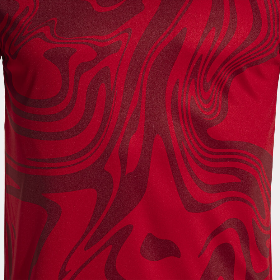 CAMISETA MANGA CORTA LION II
