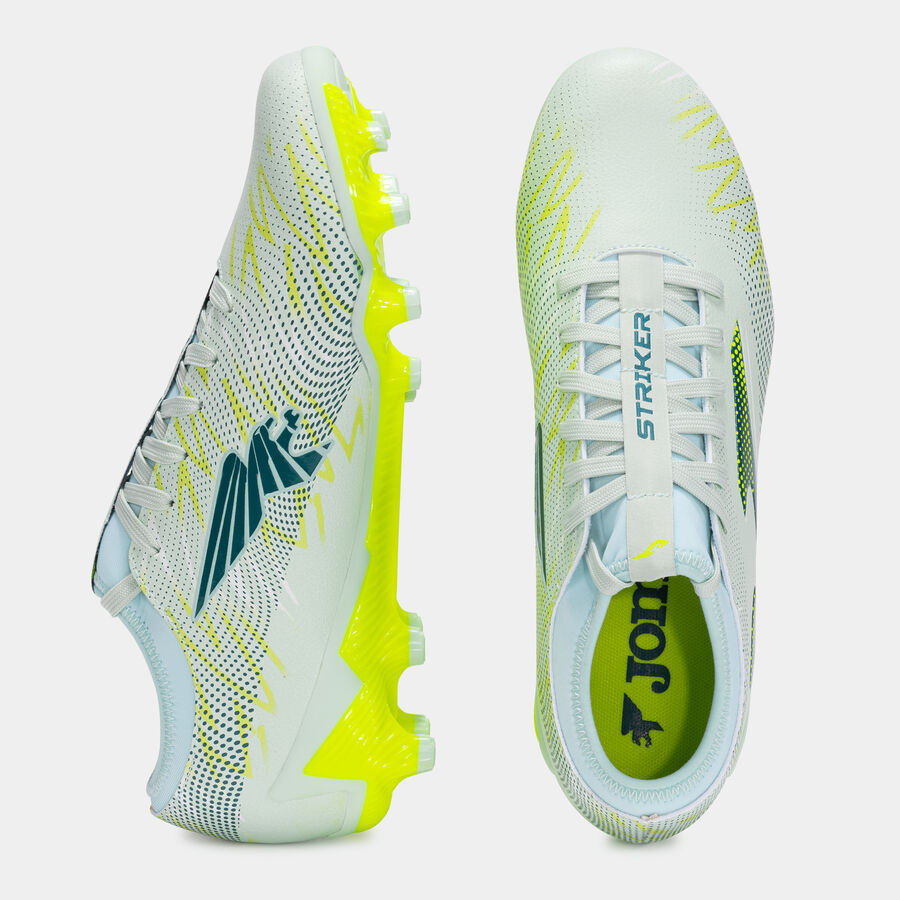 STRIKER 25