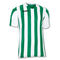 TRICOU CU MÂNECĂ SCURTĂ BĂRBAȚI COPA VERDE ALB