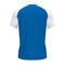 CAMISETA MANGA CORTA ACADEMY IV