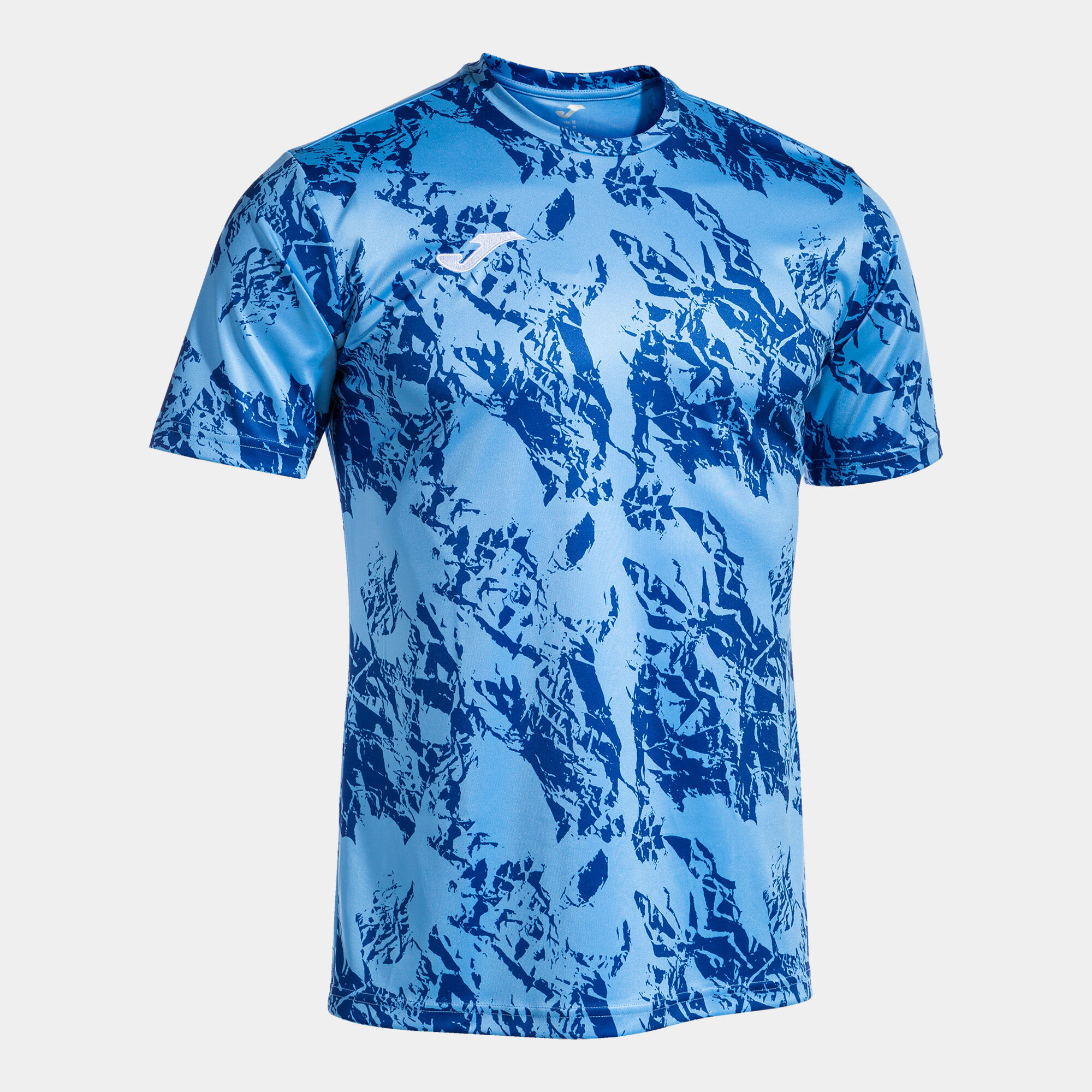 T-shirt manga curta homem Lion azul-celeste azul
