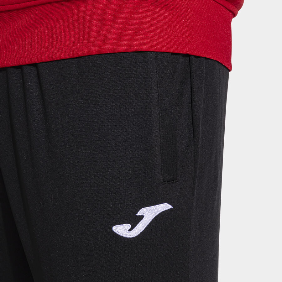 CH&Aacute;NDAL LION II