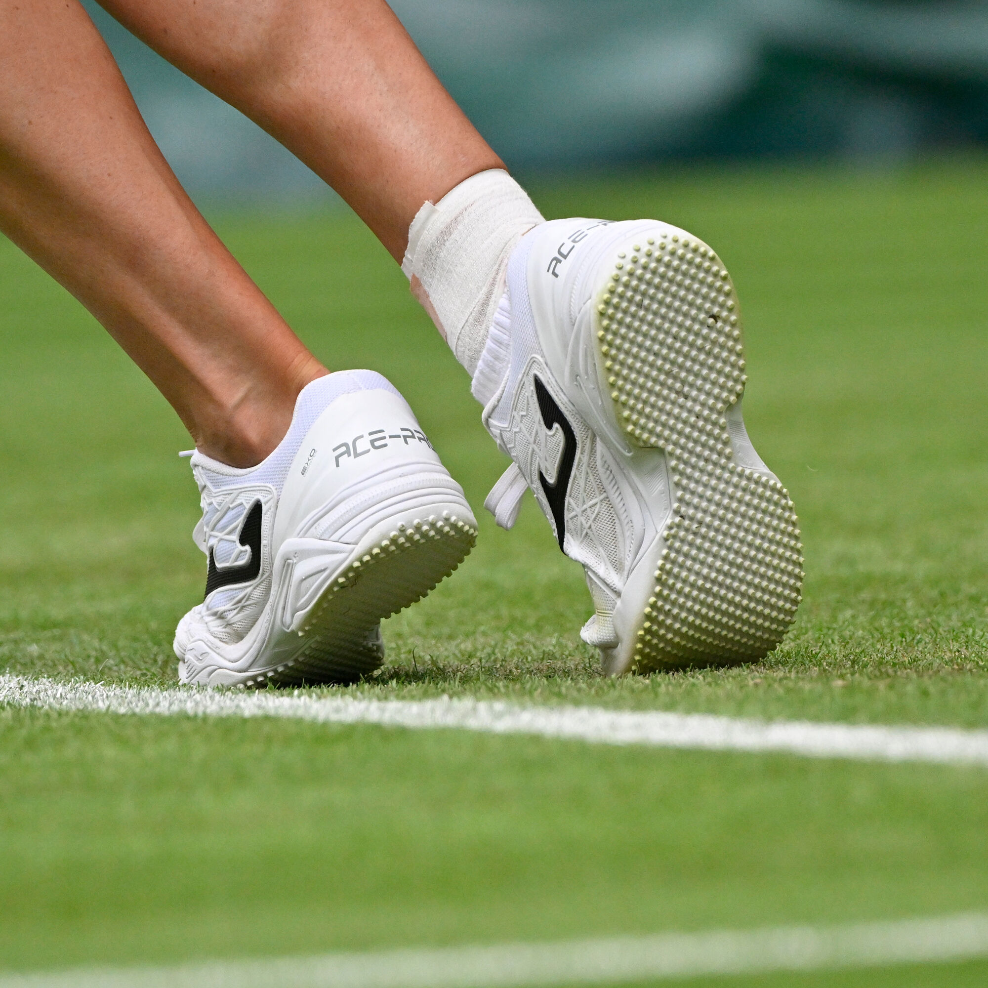 Ace best sale shoes sports