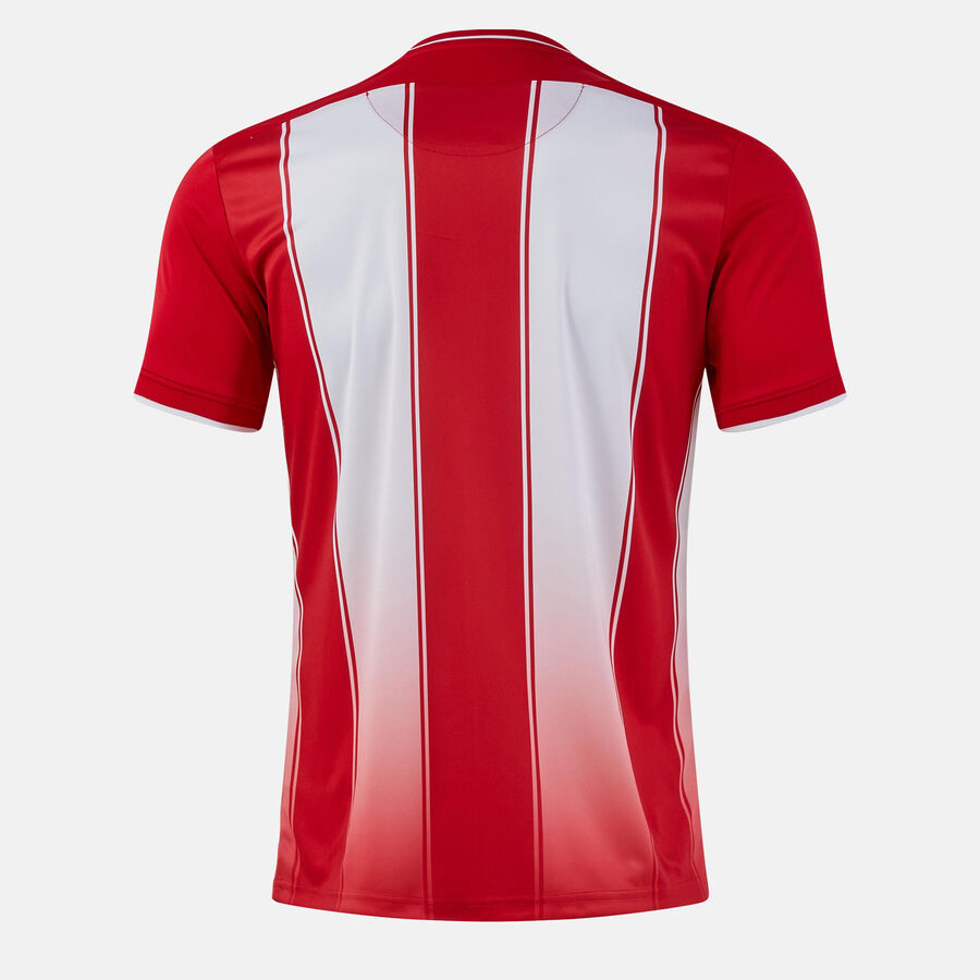CAMISETA MANGA CORTA TIGER VIII