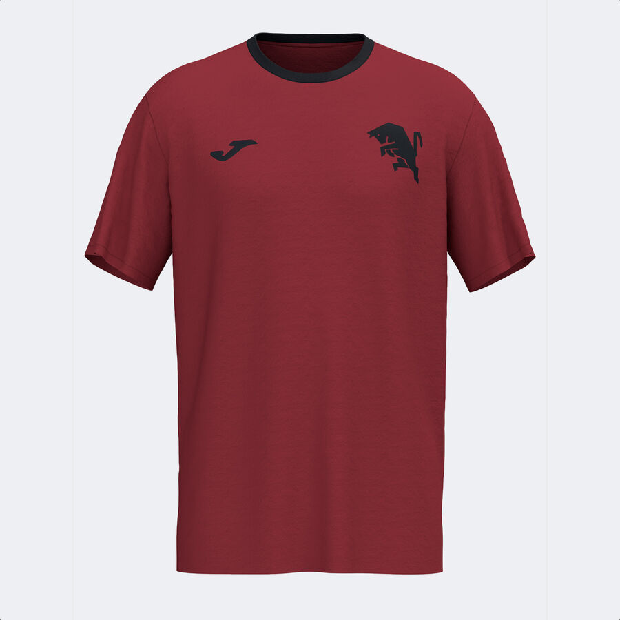 CAMISETA MANGA CORTA PASEO TORINO