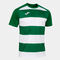 Camiseta manga corta hombre Prorugby II verde blanco