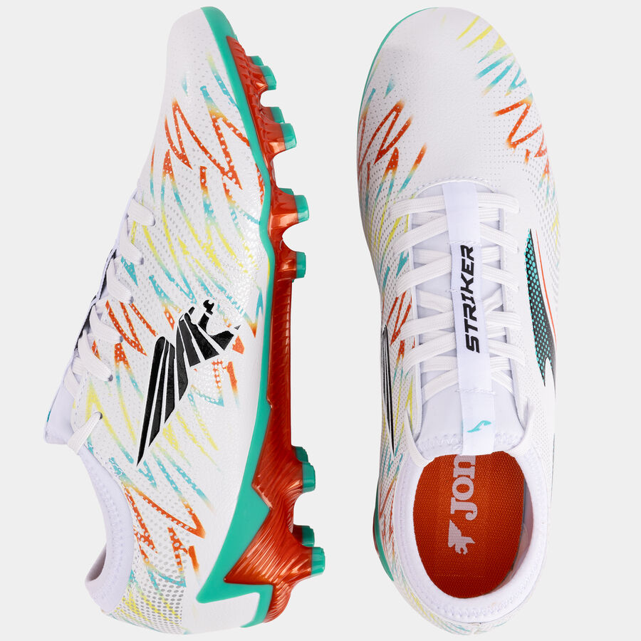 STRIKER 25