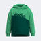 Hanorac cu gluga băieȚi Park verde