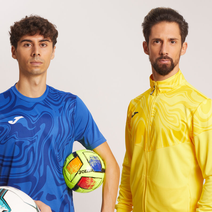 CH&Aacute;NDAL LION II