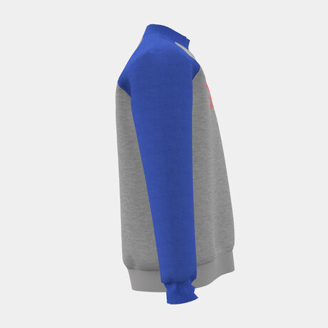SUDADERA LION