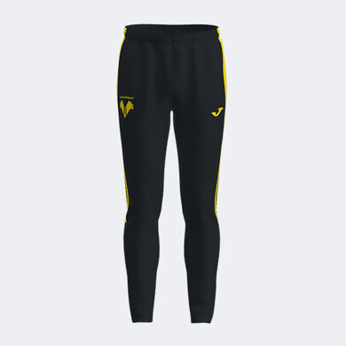 Longs pants training Hellas Verona Fc 23/24