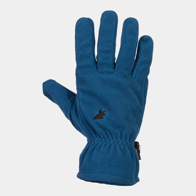 Gloves Explorer blue