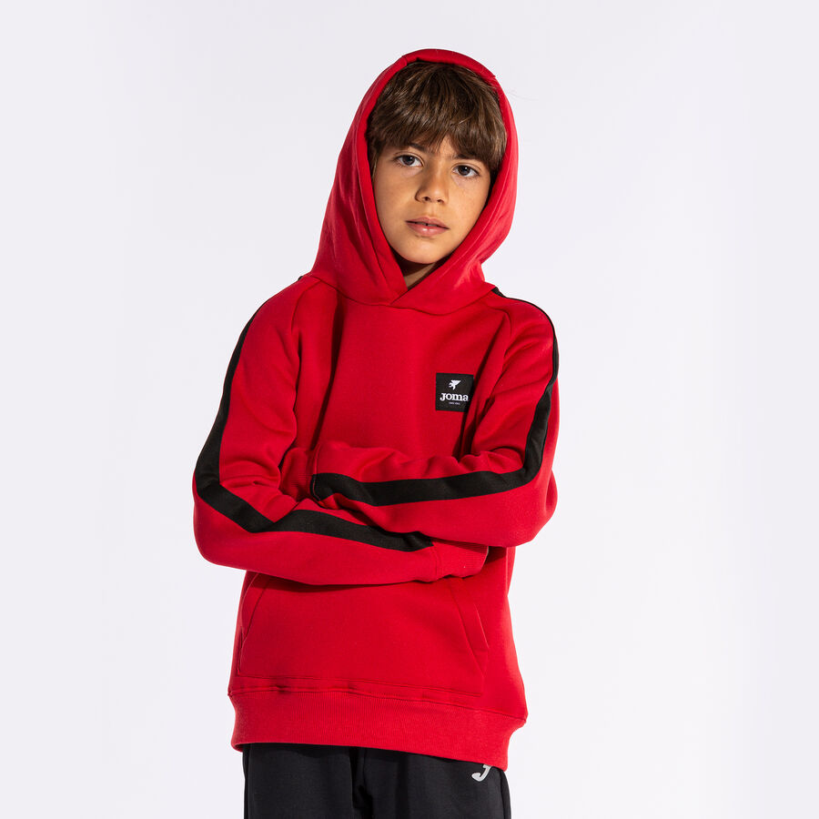 SUDADERA CON CAPUCHA STRIPE