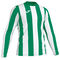 Maglia a manica lunga uomo Inter verde bianco