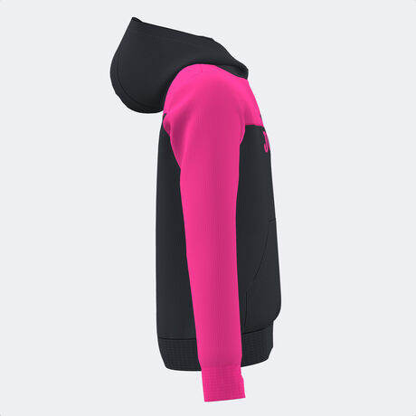 SUDADERA CON CAPUCHA PARK image number null