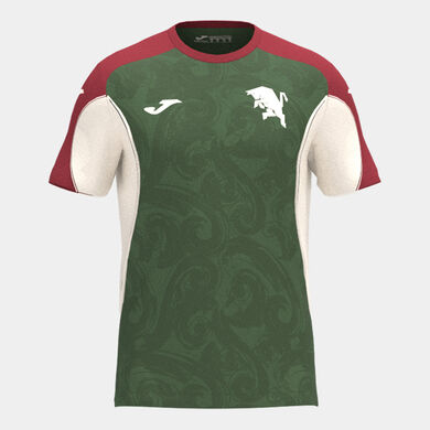 Maillot manches courtes gardien de but entra&icirc;nement Torino 26/27