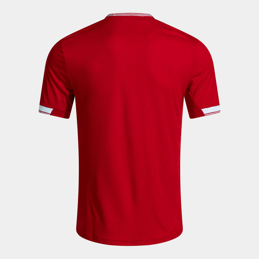 CAMISETA MANGA CORTA TOLETUM VI