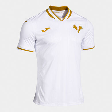 Shirt short sleeve 3rd kit Hellas Verona FC 26/27