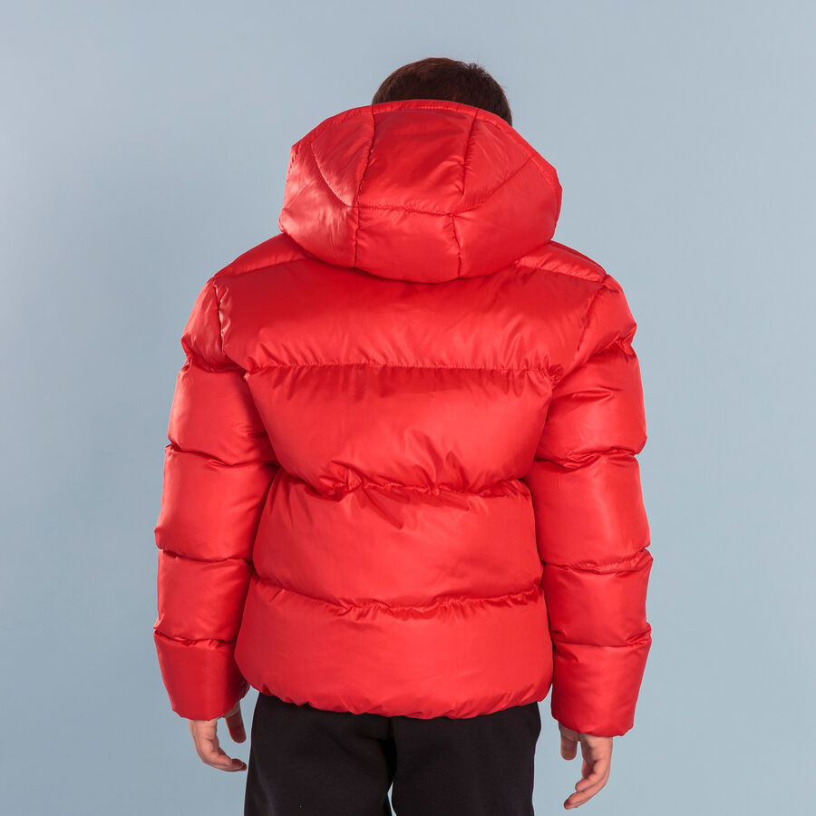 ANORAK LION