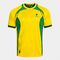 Kurzarmshirt mann Futbol Retro Mundial 2026 gelb gr&uuml;n