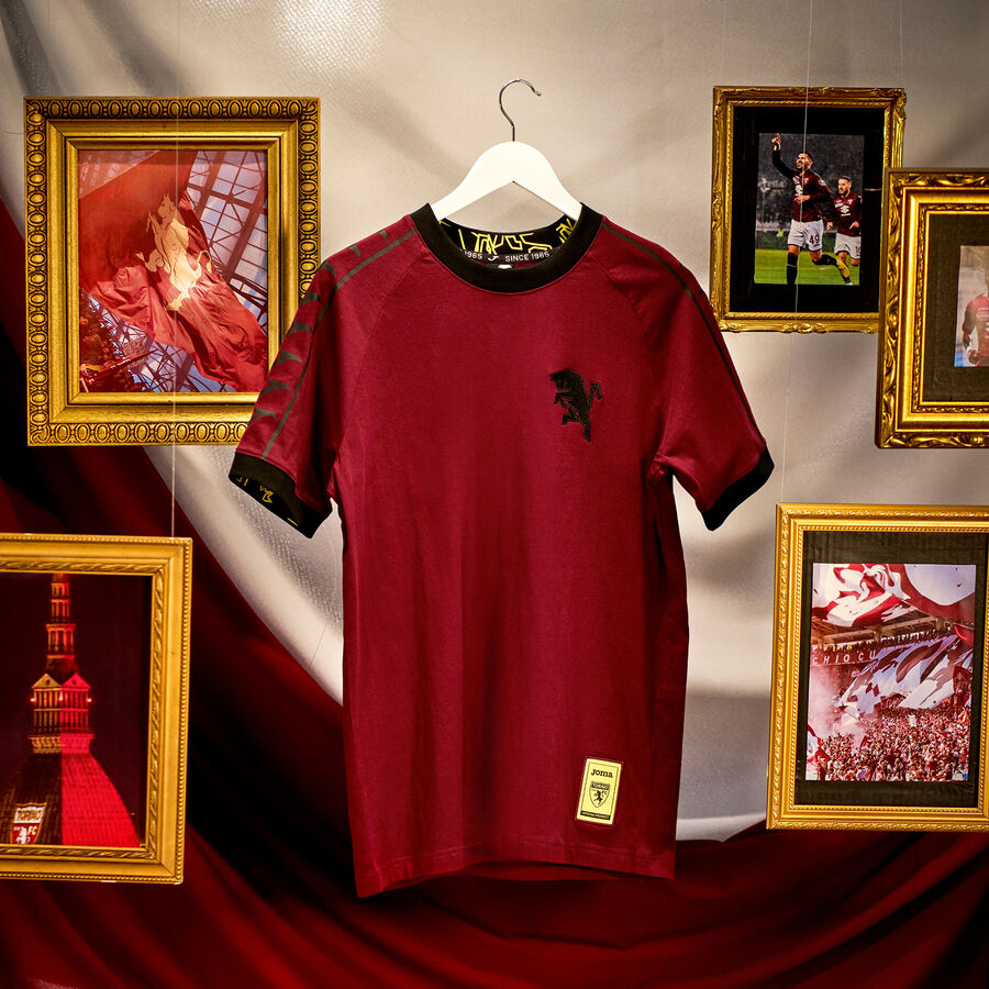 CAMISETA MANGA CORTA