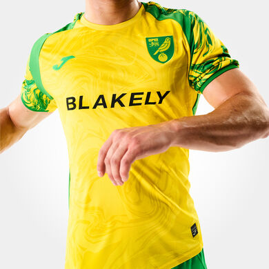 Kurzarmshirt heimdress Norwich City 26/27
