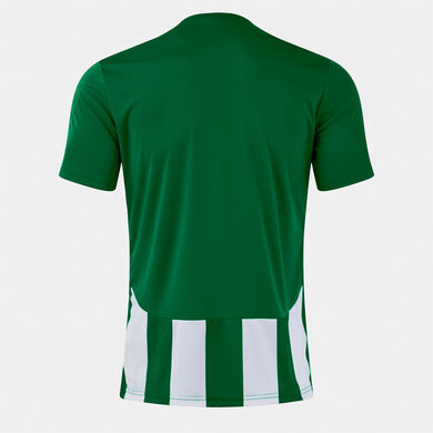 Maillot manches courtes homme Inter VI vert blanc