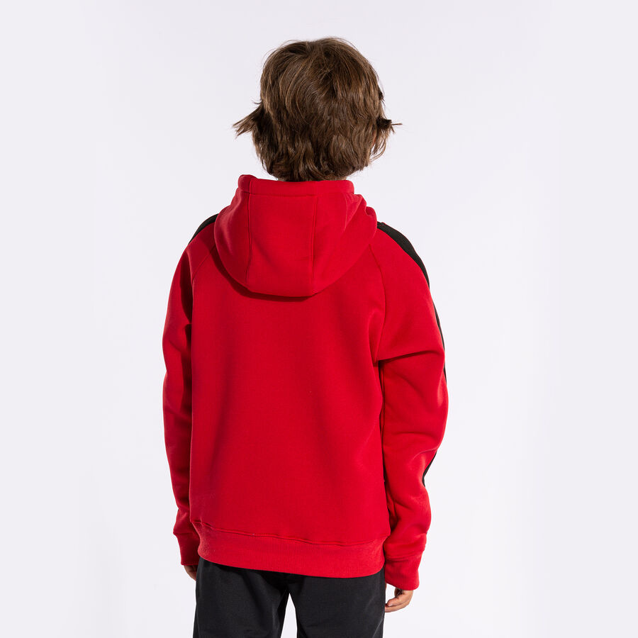SUDADERA CON CAPUCHA STRIPE