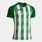 Maillot manches courtes homme Inter V vert blanc