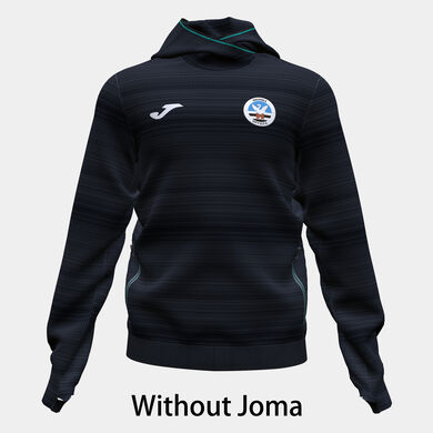 Sudadera con capucha entrenamiento Swansea City 22/23