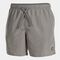 Schwimmshorts mann Stripe dunkelgrau