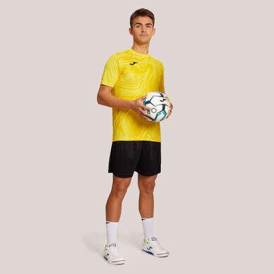 Maglia a manica corta uomo Lion II giallo